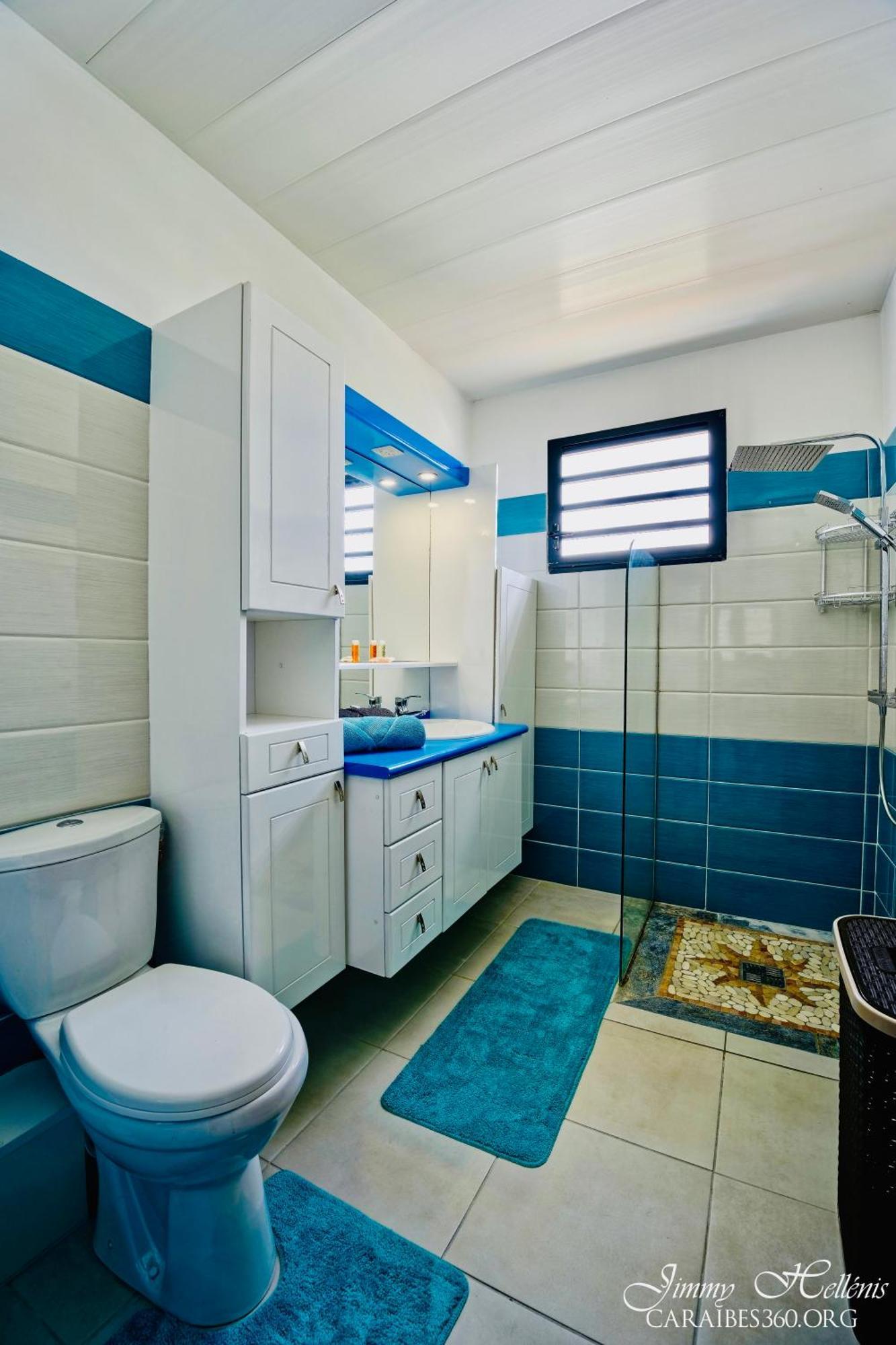 Villa T4 La Sagesse Ws - Piscine Privee Riviere-Salee Eksteriør billede